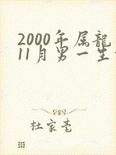 2000年属龙11月男一生命运