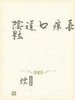 阴道口痒长小肉粒