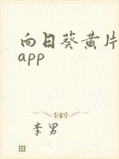 向日葵黄片软件app