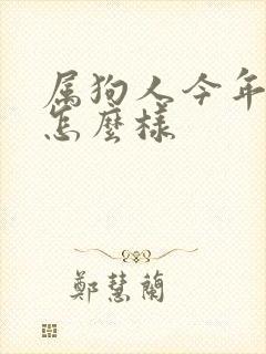 属狗人今年运气怎么样