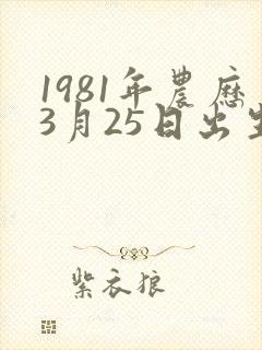 1981年农历3月25日出生是什么命封面