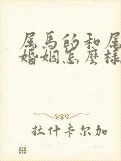 属马的和属鸡的婚姻怎么样