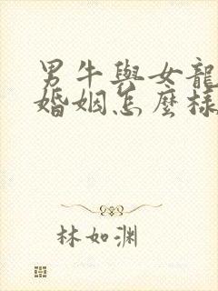 男牛与女龙相配婚姻怎么样