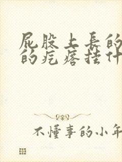 屁股上长的硬硬的疙瘩挂什么科