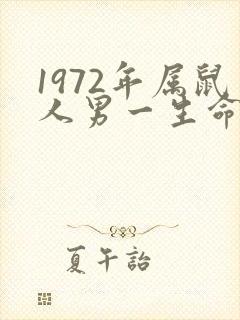 1972年属鼠人男一生命运