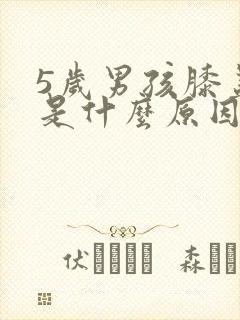 5岁男孩膝盖疼是什么原因引起的封面