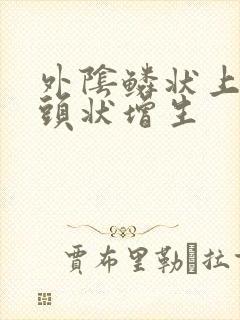 外阴鳞状上皮乳头状增生