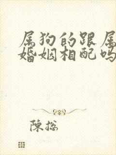 属狗的跟属兔的婚姻相配吗