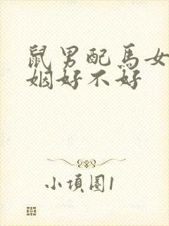 鼠男配马女的婚姻好不好