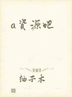 a资源吧