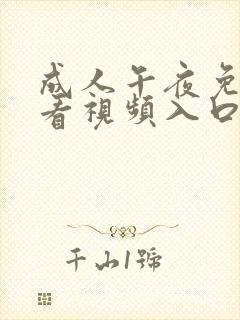 成人午夜免费观看视频入口封面