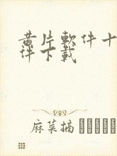 黄片软件十大软件下载