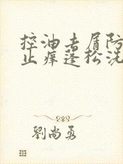 控油去屑防脱发止痒蓬松洗发水