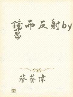 镜面反射by九葛封面