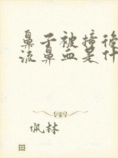 鼻子被撞后经常流鼻血是什么原因