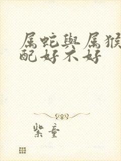 属蛇与属猴的婚配好不好