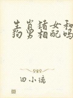 生肖猪女和生肖狗男相配吗婚姻如何