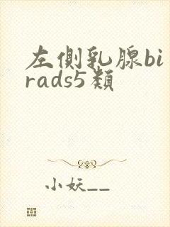 左侧乳腺bi一rads5类封面