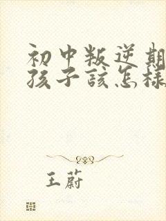 初中叛逆期的男孩子该怎样去沟通教育封面