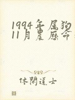 1994年属狗11月农历命运如何