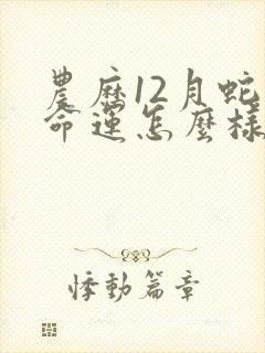 农历12月蛇的命运怎么样封面