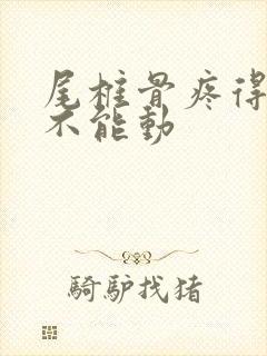 尾椎骨疼得厉害不能动