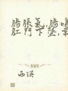 肠胀气,肠鸣,肛门下坠,常有便意