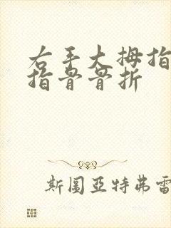 右手大拇指远节指骨骨折