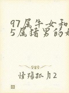 97属牛女和95属猪男的婚姻怎么样