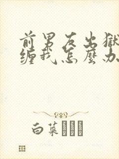 前男友出狱后纠缠我怎么办封面