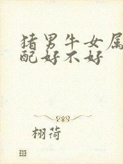 猪男牛女属相婚配好不好封面