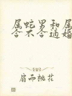 属蛇男和属兔女合不合适婚姻