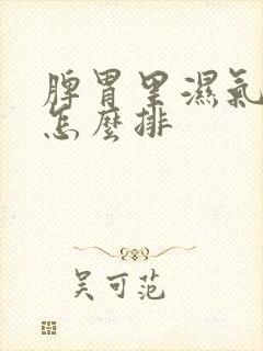 脾胃里湿气太重怎么排