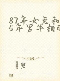 87年女兔和85年男牛相配婚姻如何