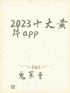 2023十大黄片app