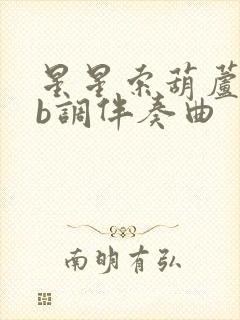 星星索葫芦丝降b调伴奏曲封面