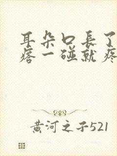 耳朵口长了个疙瘩一碰就疼