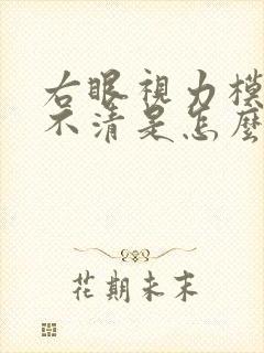 右眼视力模糊看不清是怎么回事