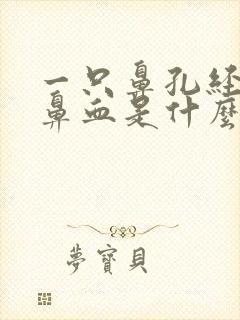 一只鼻孔经常流鼻血是什么原因引起的封面