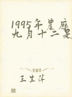 1995年农历九月十二是什么命