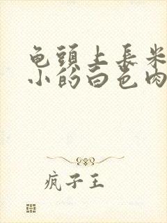 龟头上长米粒大小的白色肉粒