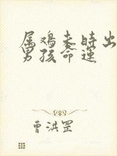 属鸡未时出生的男孩命运