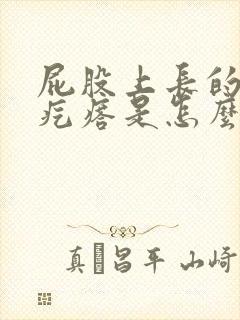 屁股上长的红色疙瘩是怎么回事