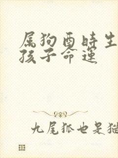 属狗酉时生的女孩子命运