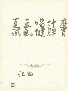 夏天喝什么粥祛湿气健脾胃