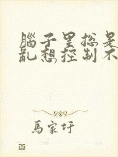 脑子里总是胡思乱想控制不住睡不着封面