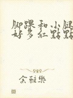 脚踝和小腿长了好多红点点封面