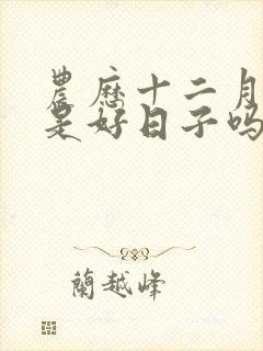 农历十二月初六是好日子吗