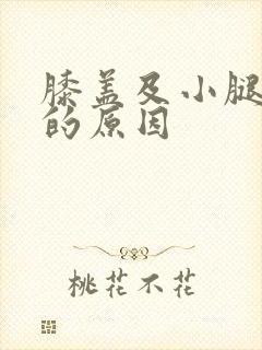 膝盖及小腿发凉的原因