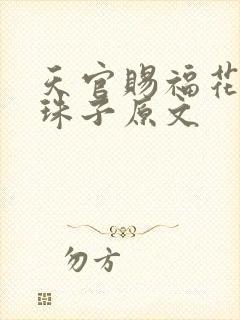 天官赐福花怜塞珠子原文封面